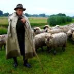 P1020267 Elberadweg 2007