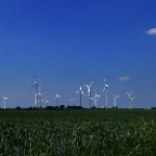 P1020480 Elberadweg 2007