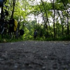 P1020538 Elberadweg 2007