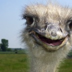 P1020860 Elberadweg 2007